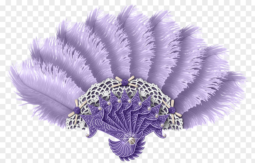 Feather Hand Fan Light Pine Nacre PNG