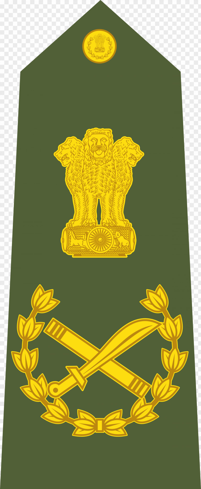Indian Army Lieutenant General Colonel PNG