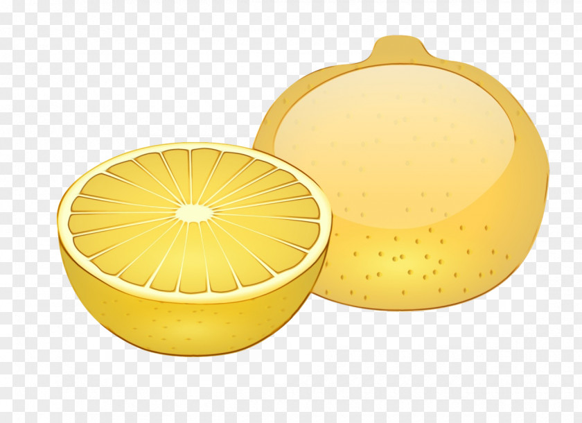 Orange Serveware Lemon Grapefruit Citric Acid Yellow Design PNG