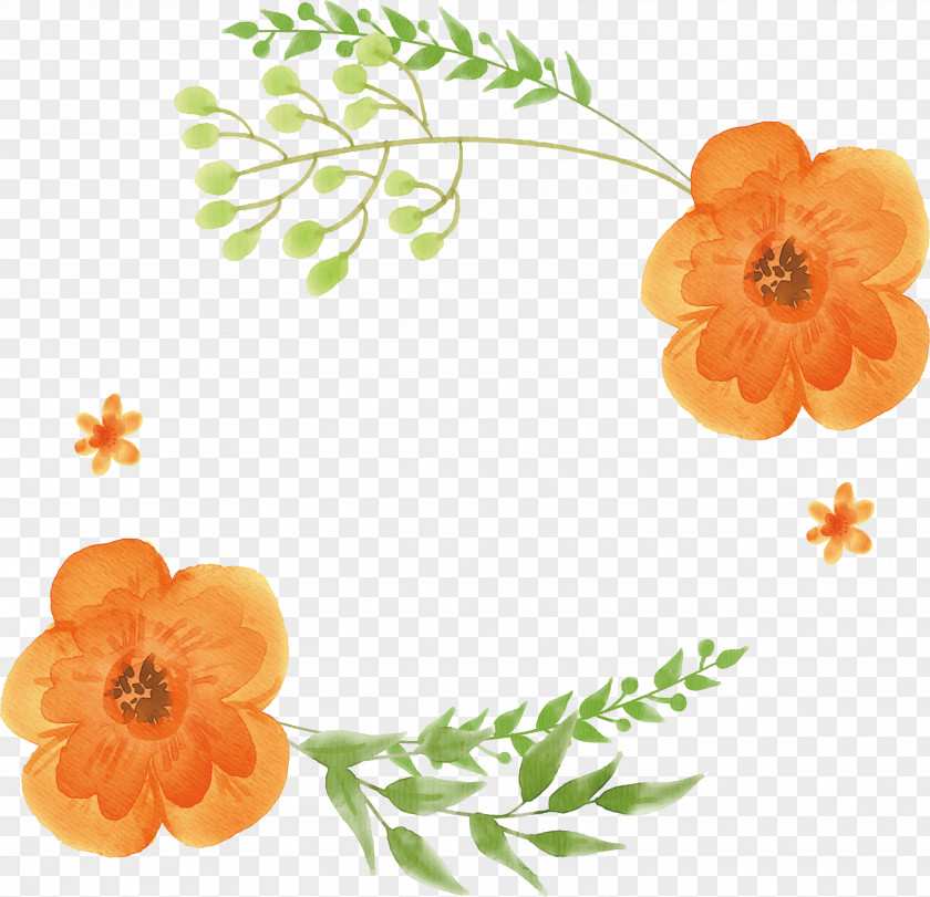 Orange Watercolor Flower Title Box Watercolor: Flowers Painting PNG