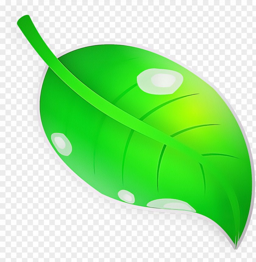 Peripheral Plant Green Leaf Technology Electronic Device Input PNG