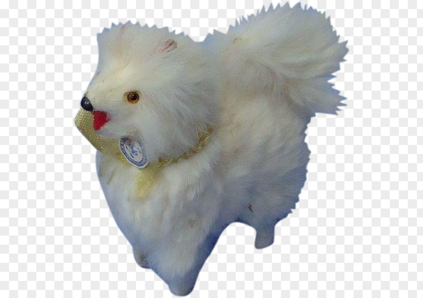 Pomeranian Samoyed Dog Breed Snout Fur PNG