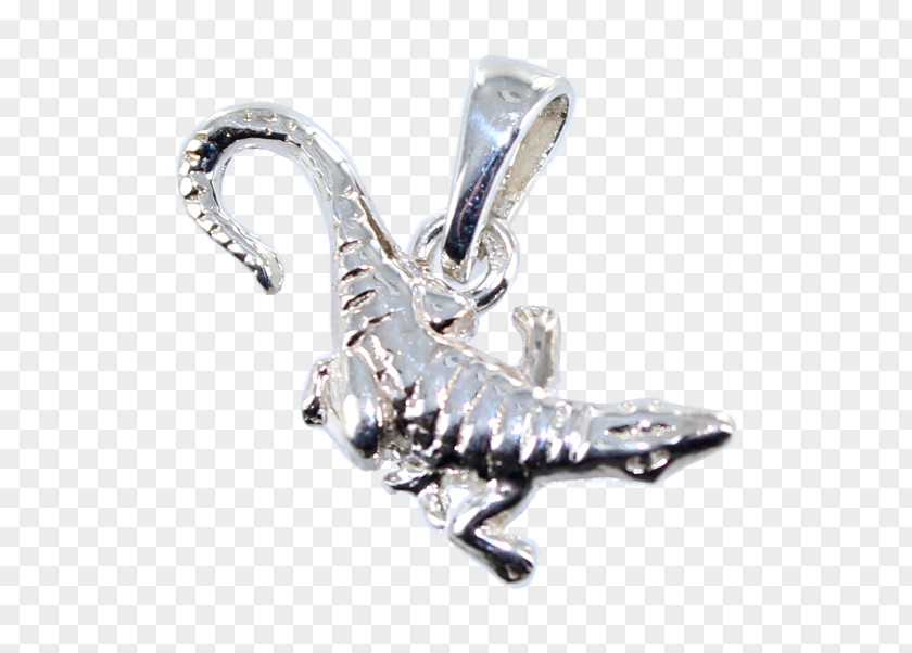 Silver Charms & Pendants Body Jewellery Diamond PNG