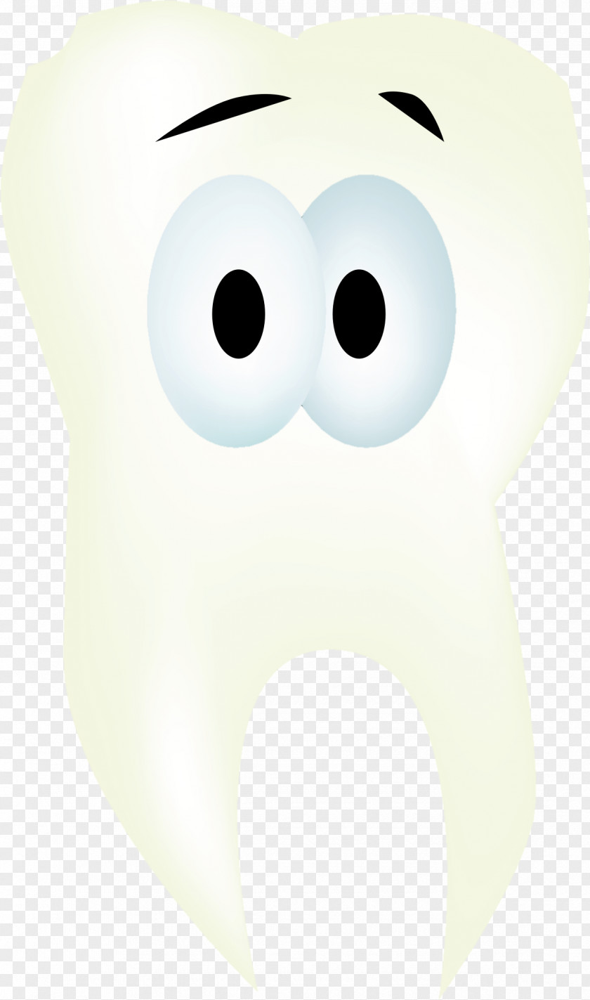 Teeth Health Tooth PNG