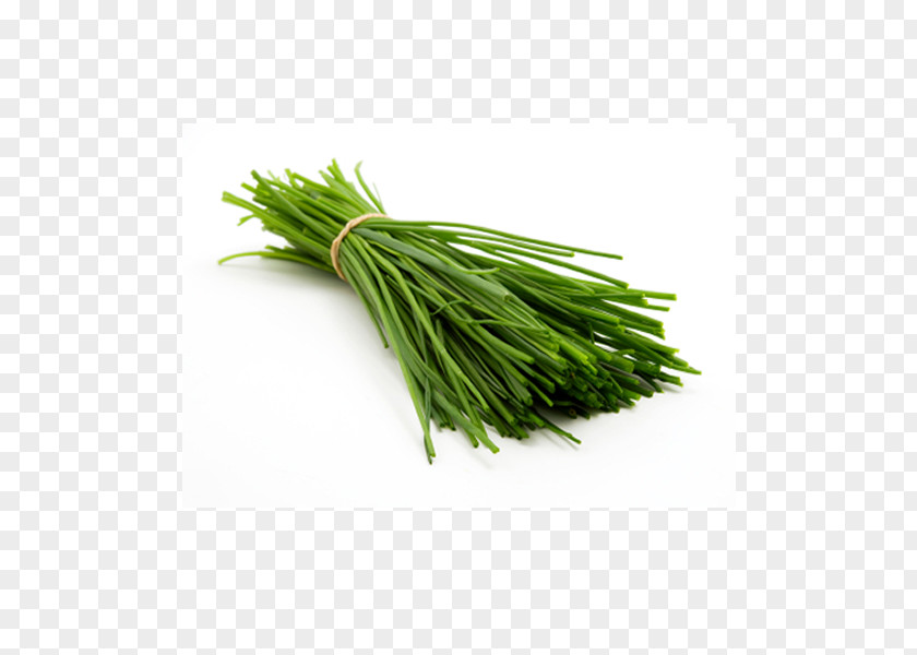 Vegetable Chives Nutrition Scallion PNG