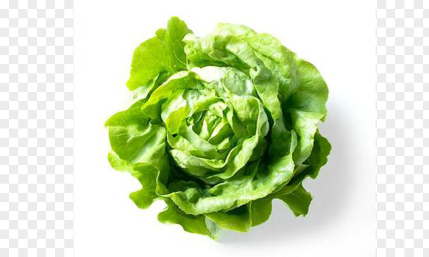 Vegetable Salad Seed Celtuce Food PNG