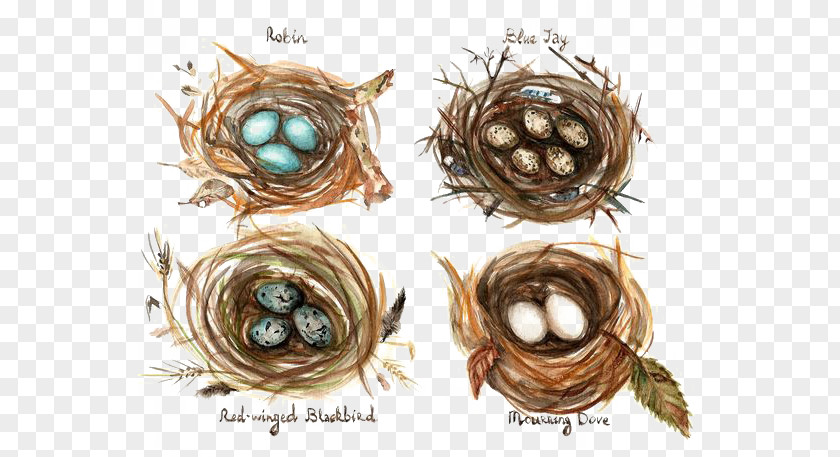 Cartoon Bird's Nest Edible Birds Bird Watercolor Painting Drawing PNG