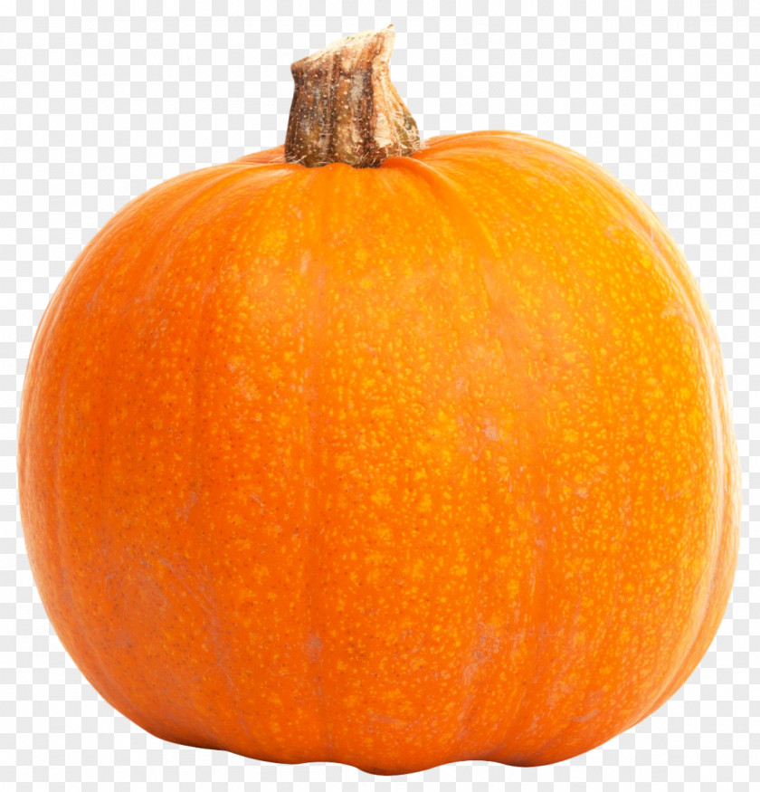 Fresh Orange Pumpkin Jack-o-lantern Calabaza Gourd Winter Squash PNG