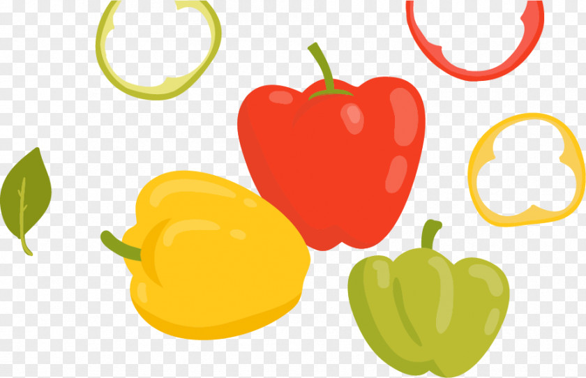 Pepper Vector Material Bell Vegetable Clip Art PNG