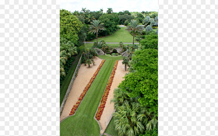 Fairchild Tropical Botanic Garden Botanical Landscaping New Work PNG