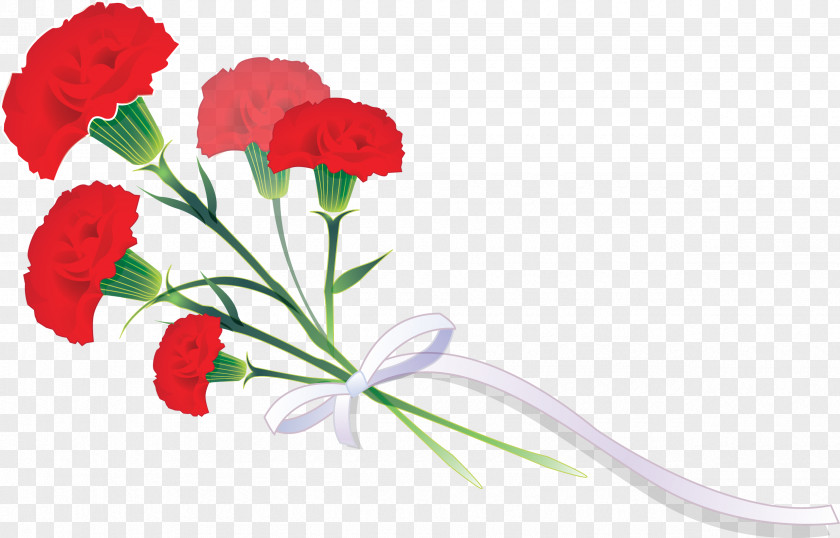 Flower Cut Flowers Carnation Garden Roses Plant PNG