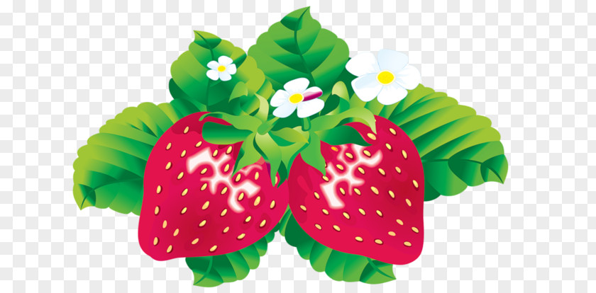 Hand-painted Strawberry Food Tattoo Stock Photography PNG