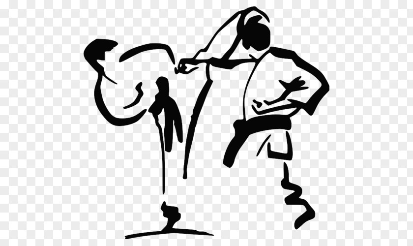 Karate Japan Association Martial Arts Shotokan World Seido Organization PNG