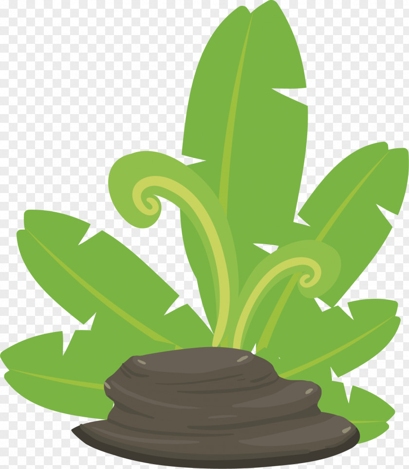 Plant Stone Vector Green Leaf PNG