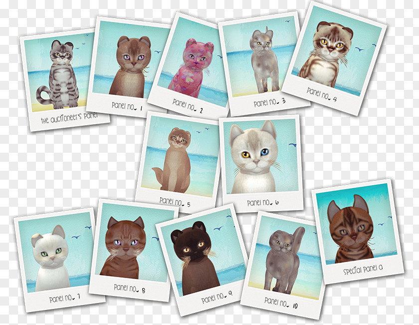Tecup Kitten Material Picture Frames Animal PNG