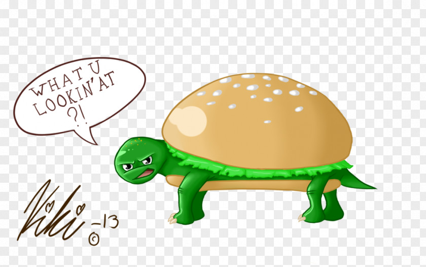 Turtle Tortoise PNG