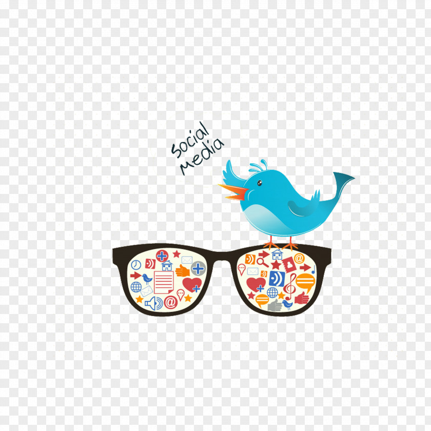 Twitter Bluebird Illustration Social Media Icon PNG