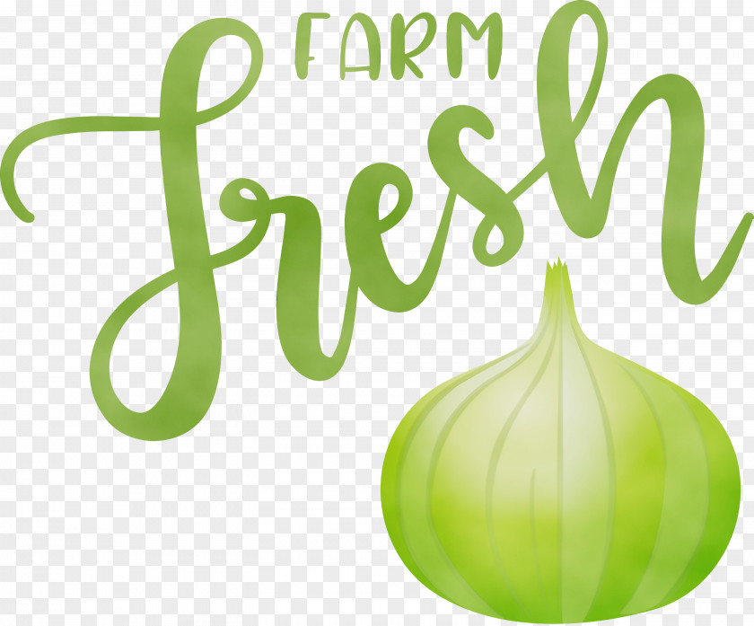 Vegetable Logo Font Plant Green PNG