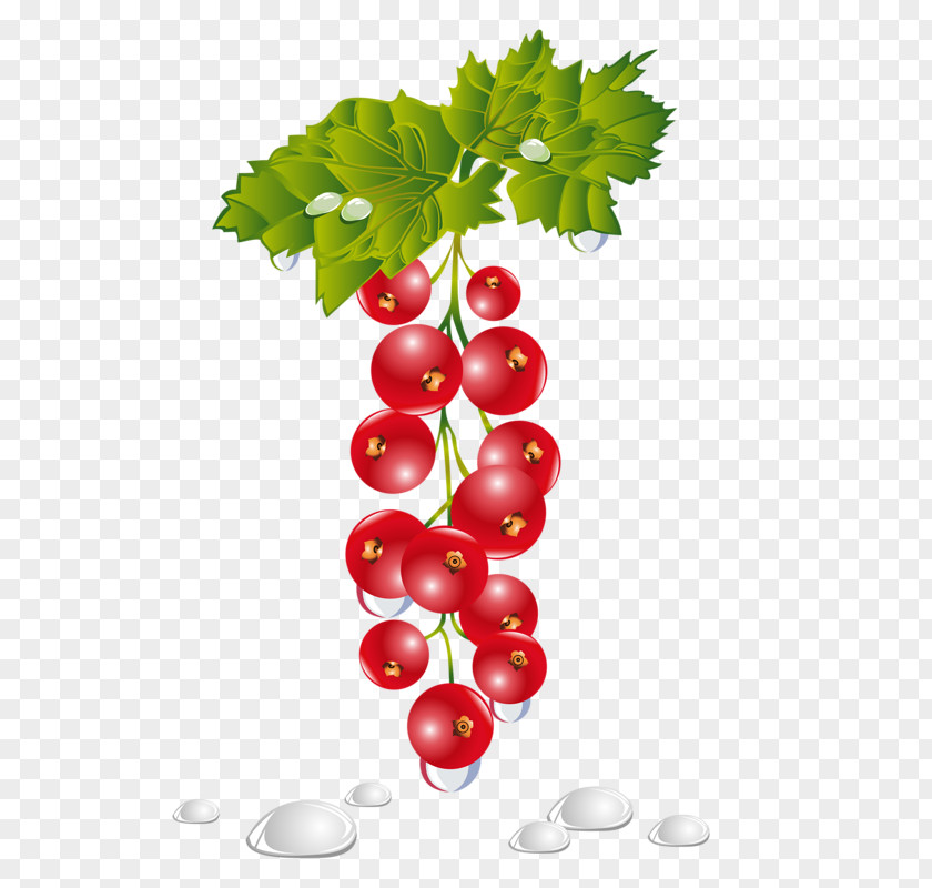 A Bunch Of Grapes Fruit Clip Art PNG