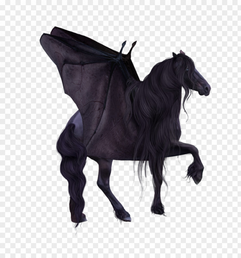 Bat Mustang Horse Harnesses Stallion Tack Rein PNG