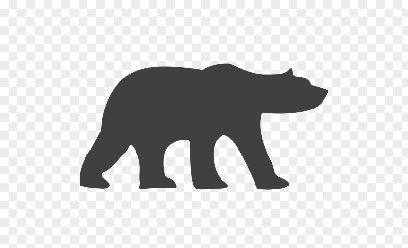 Bears Polar Bear Brown PNG