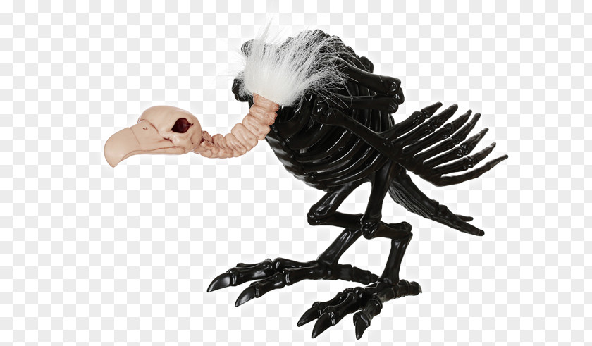 Black Vulture Turkey Skeleton Bone Skull PNG