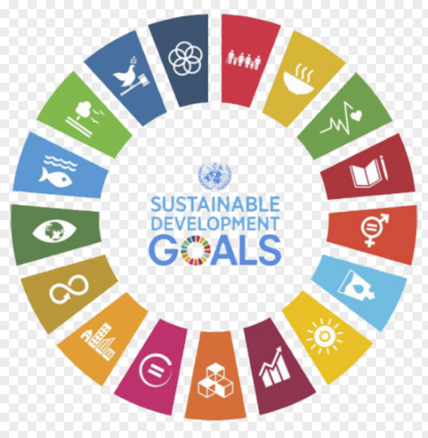 Corporate Social Responsibility Sustainable Development Goals Millennium United Nations Sustainability PNG