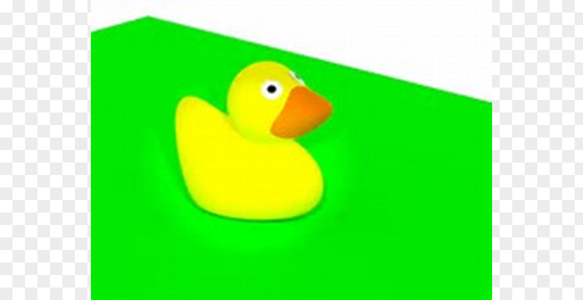 Duck Material PNG