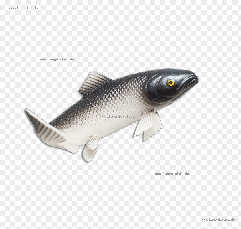 Fish Shop Milkfish PNG