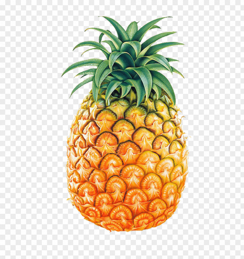 Juice Pineapple Piña Colada Clip Art Fruit PNG