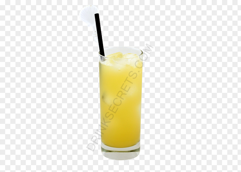 Peach Juice Splash Orange Drink Screwdriver Harvey Wallbanger Fuzzy Navel PNG