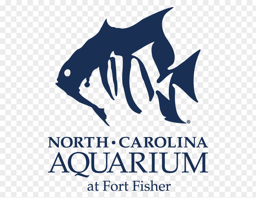 Shark North Carolina Aquarium At Pine Knoll Shores On Roanoke Island Outer Banks Fort Fisher Aquariums PNG