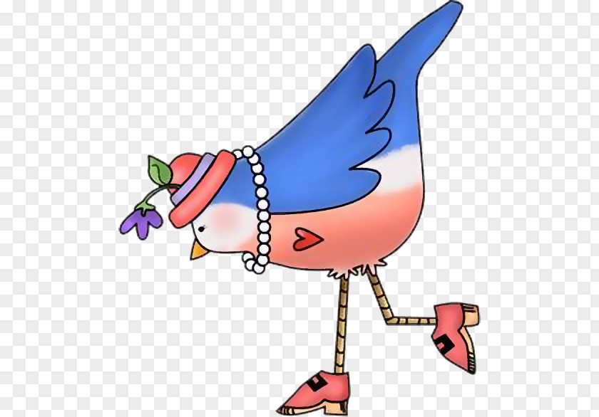 Bird Les Oiseaux Du Québec Animaatio Clip Art PNG