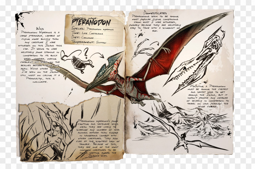 Dinosaur Pteranodon ARK: Survival Evolved Late Cretaceous Pterosaurs Spinosaurus PNG