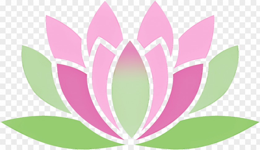 Flower Lotus PNG