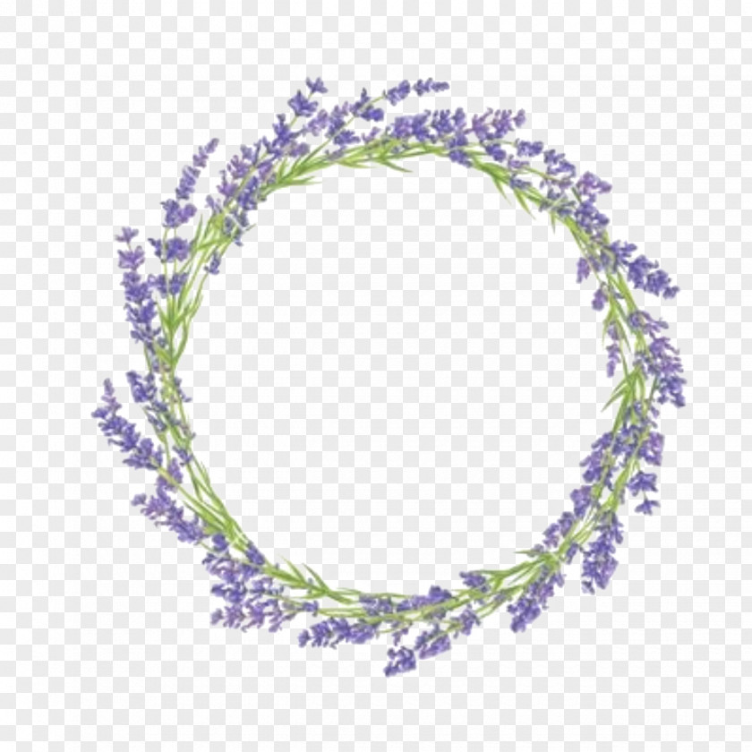 Flower Vector Graphics Clip Art Lavender Illustration PNG