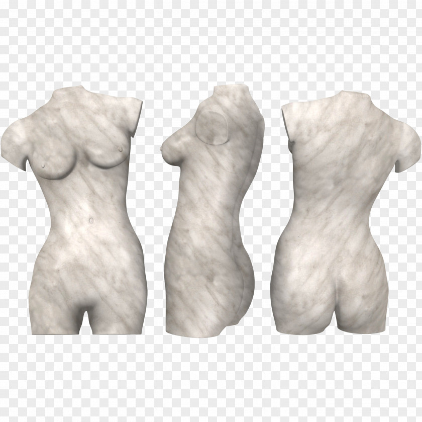 Torso Human Body Abdomen Anatomy Hip PNG