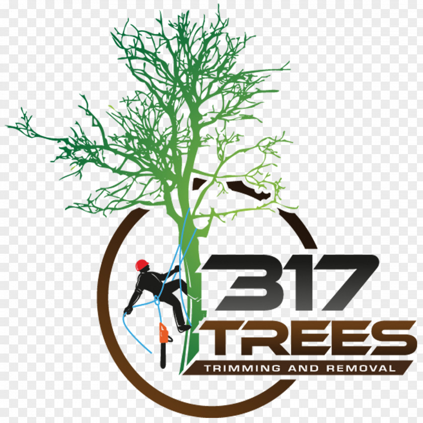 Tree Branch 317 Trees Crane Pruning PNG