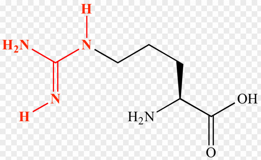 Chemistry Amino Acid Amine Guanidine Protein Lewis Structure PNG