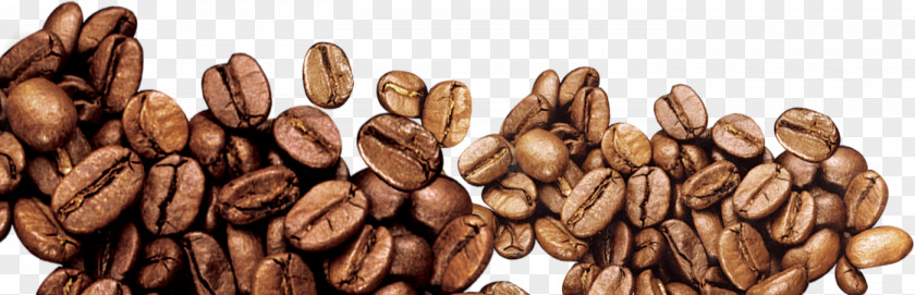 Coffee Beans Bean Iced PNG