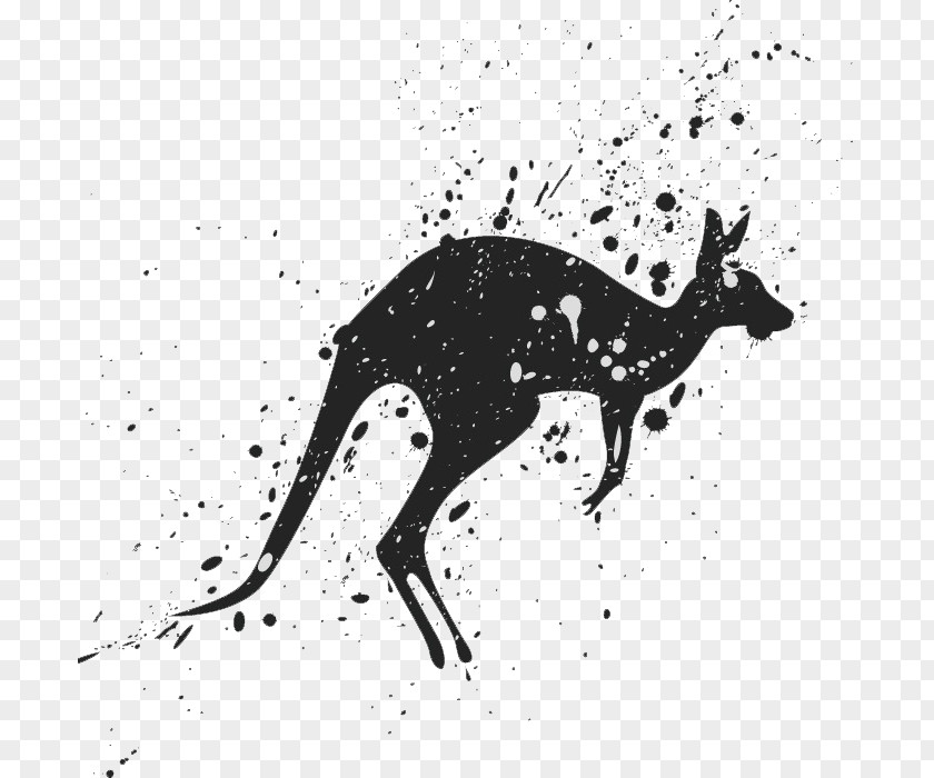 Kangaroo Hazard Symbol Animal Drawing PNG