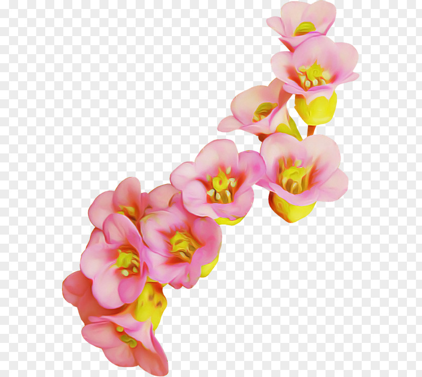 Blossom Flowering Plant Artificial Flower PNG