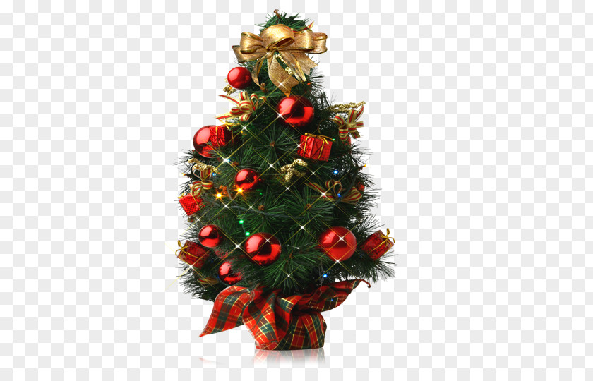 Christmas Tree PNG