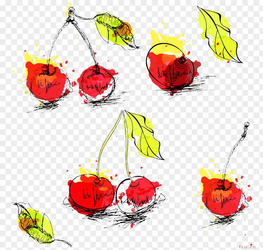 Creative Painting Cherry Leaves Drawing PNG