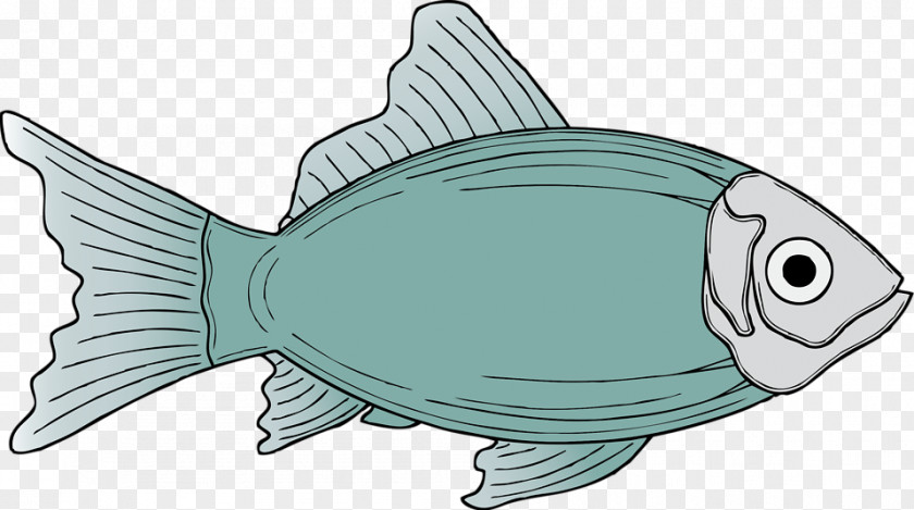 Fish Illustrations Free Content Clip Art PNG