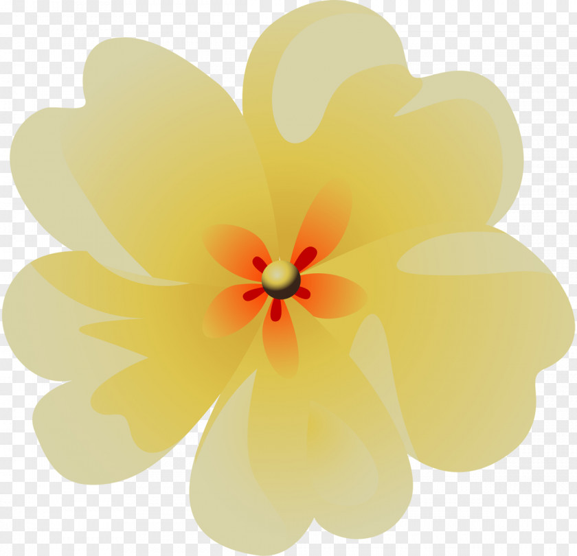 Flower Yellow Mallows Hibiscus Petal PNG