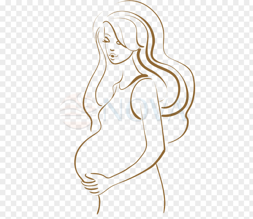 Pregnancy Vector Graphics Clip Art Drawing PNG