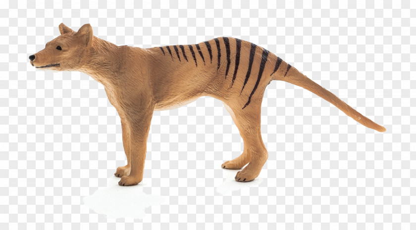 Tiger Thylacine Stuffed Animals & Cuddly Toys Hobart Zoo Plush PNG