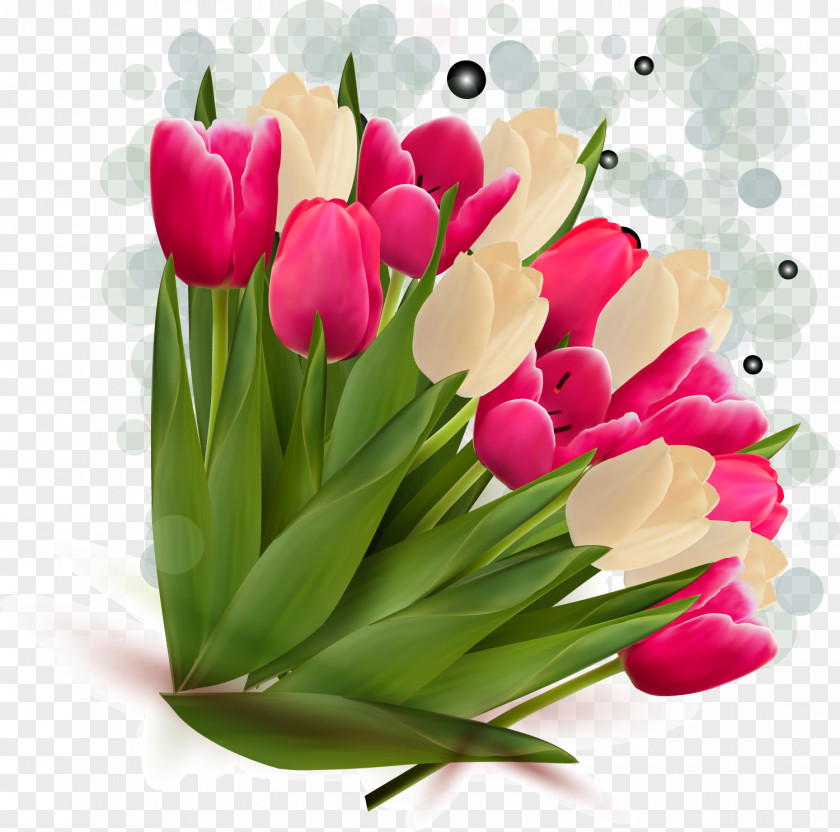 Vector Tulip 39 Flower Bouquet Clip Art PNG