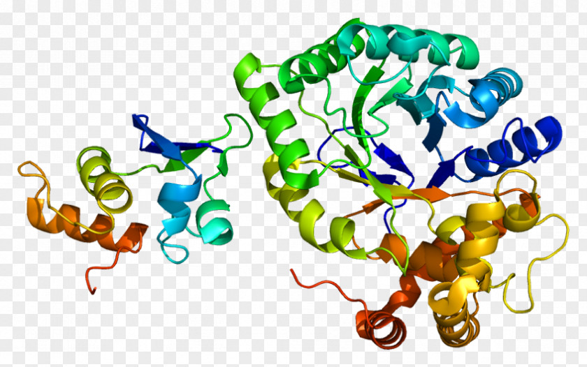 Voltage-gated Potassium Channel KCNAB2 Protein Structure PNG